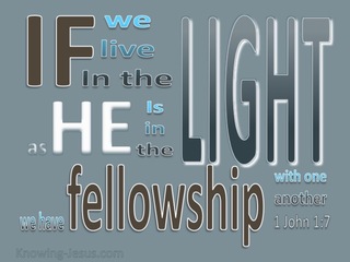 1 John 1:7 Live In The Light (gray)